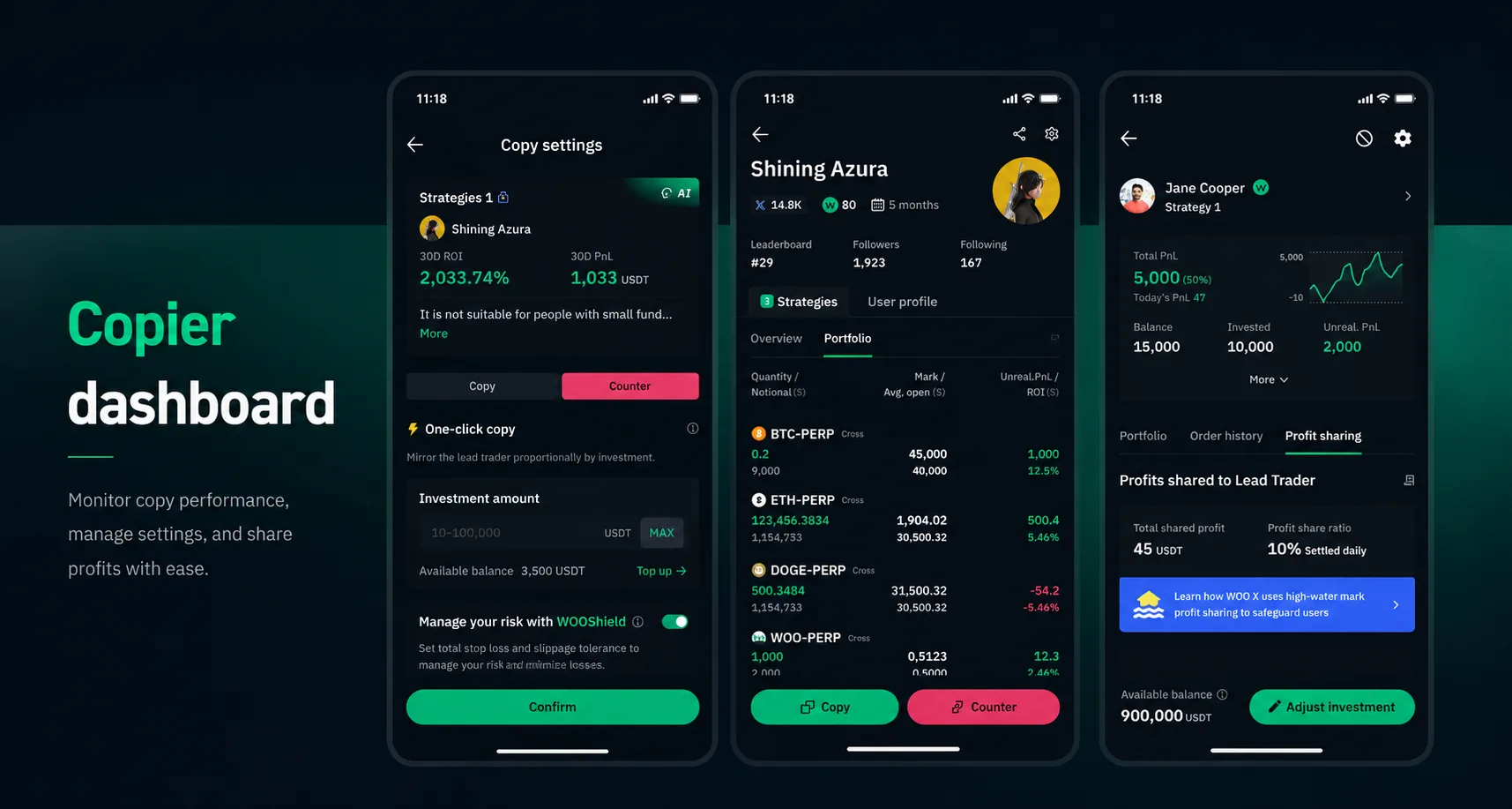 Copier dashboard — isolated portfolio view
